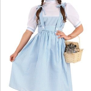 Adult Dorothy Wizard of Oz Costume size small